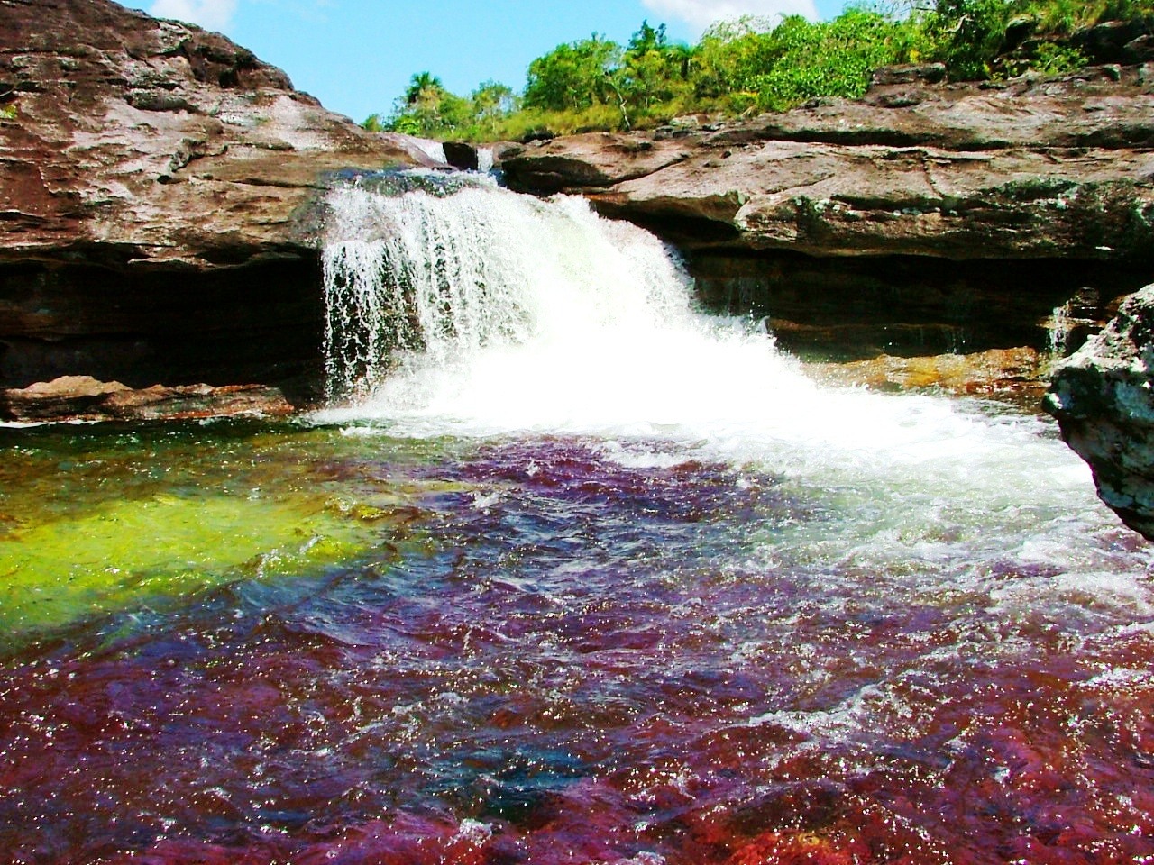 CAÑO CRISTALES